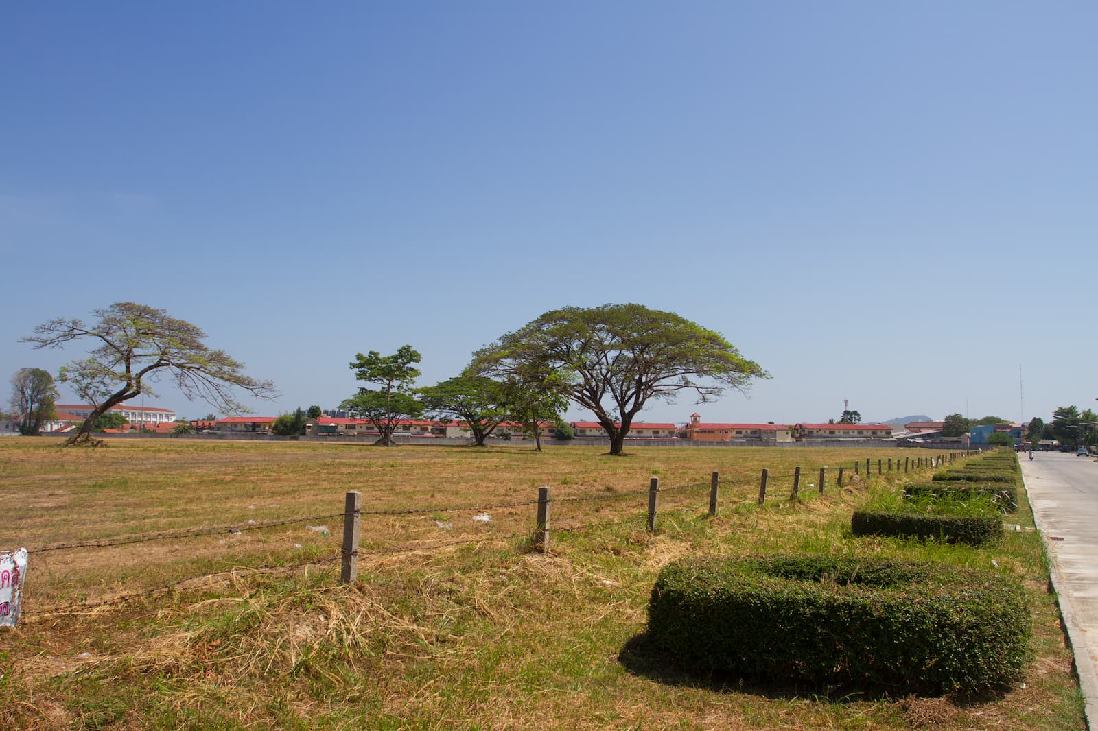vacant land in thailand showing trees and road